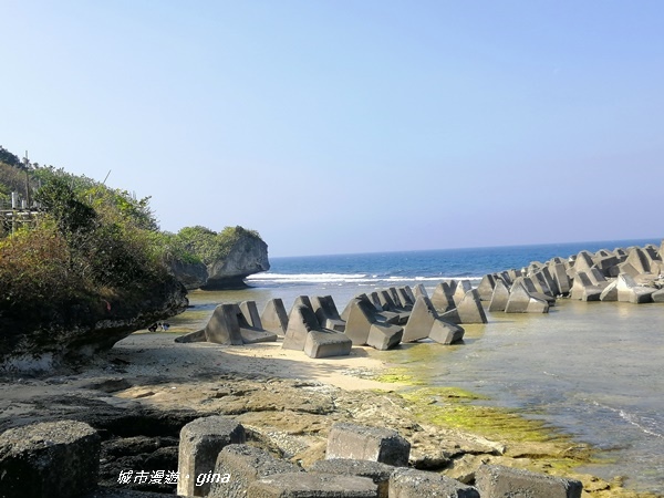 IMG_20200117_104048.jpg IMG_20200117_104048.jpg