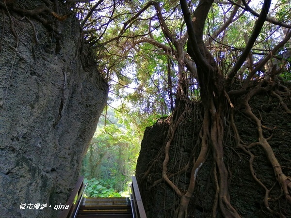 IMG_20200117_105217.jpg IMG_20200117_105217.jpg