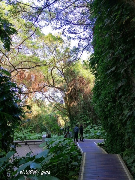 IMG_20200117_105653.jpg IMG_20200117_105653.jpg