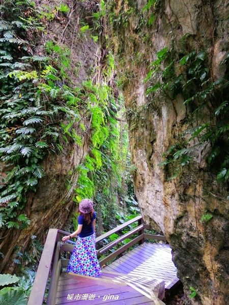 IMG_20200117_110535.jpg IMG_20200117_110535.jpg