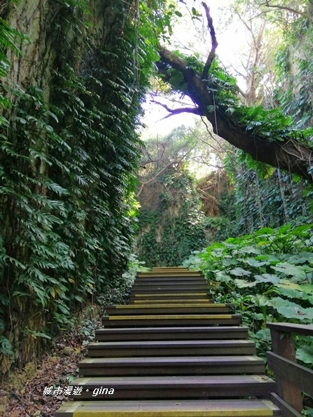 IMG_20200117_110240.jpg IMG_20200117_110240.jpg