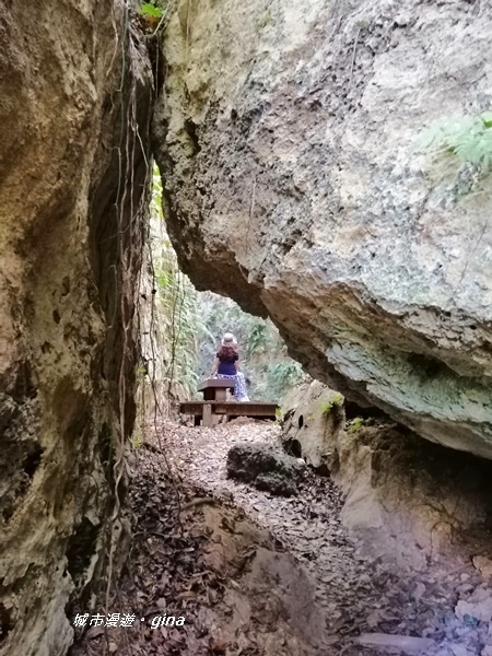 IMG_20200117_111513.jpg IMG_20200117_111513.jpg