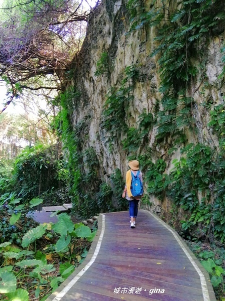 IMG_20200117_111143.jpg IMG_20200117_111143.jpg