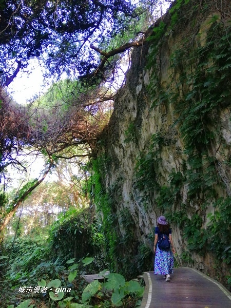 IMG_20200117_111018.jpg IMG_20200117_111018.jpg