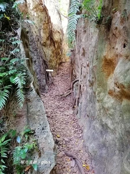 IMG_20200117_111540.jpg IMG_20200117_111540.jpg