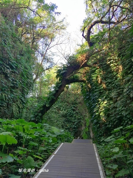 IMG_20200117_111130.jpg IMG_20200117_111130.jpg