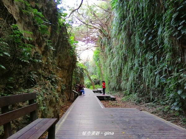 IMG_20200117_112513.jpg IMG_20200117_112513.jpg