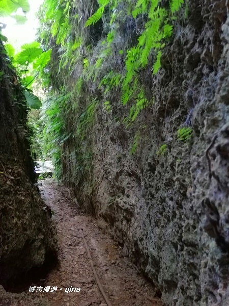 IMG_20200117_112257.jpg IMG_20200117_112257.jpg