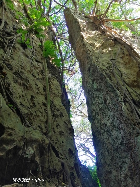 IMG_20200117_112111.jpg IMG_20200117_112111.jpg