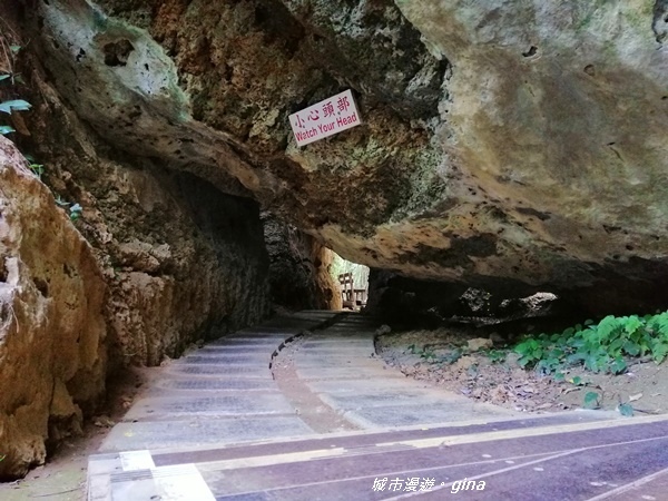 IMG_20200117_112435.jpg IMG_20200117_112435.jpg