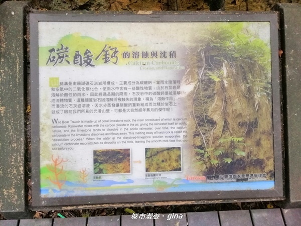 IMG_20200117_112552.jpg IMG_20200117_112552.jpg