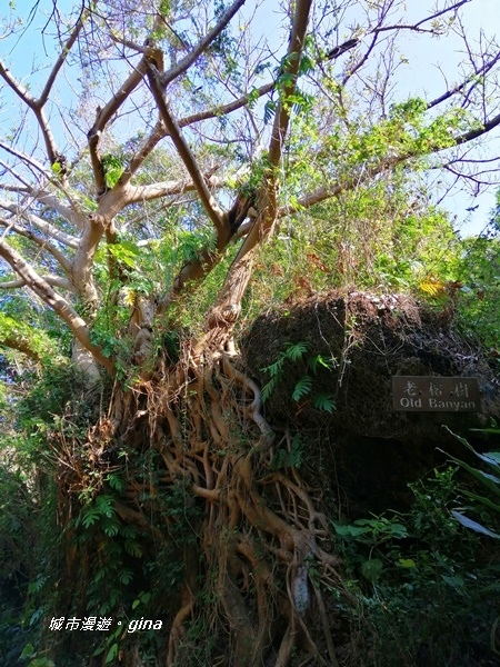 IMG_20200117_113536.jpg IMG_20200117_113536.jpg