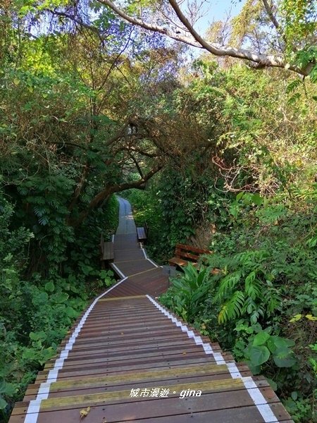 IMG_20200117_113202.jpg IMG_20200117_113202.jpg