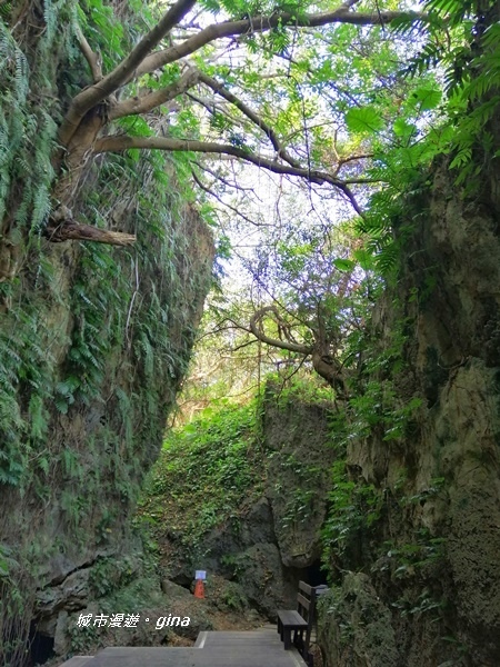 IMG_20200117_112603.jpg IMG_20200117_112603.jpg