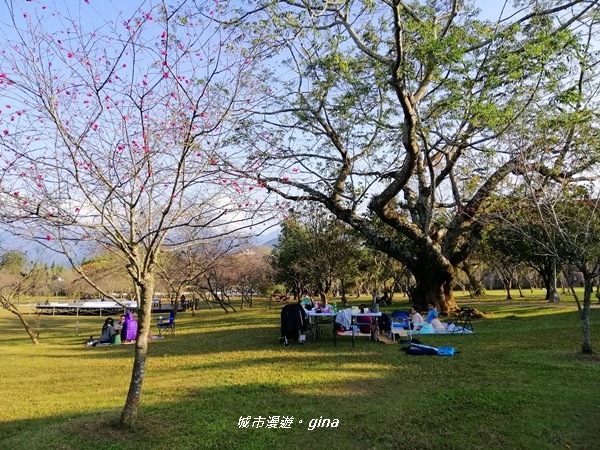 【南投。埔里】春風徐徐。 暨南大學野餐趣