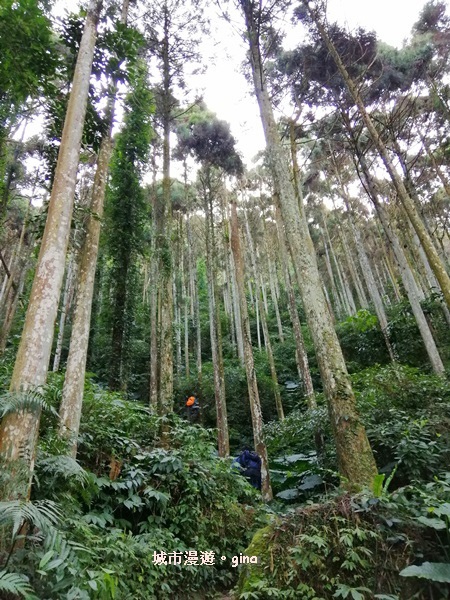 IMG_20200222_094527.jpg IMG_20200222_094527.jpg