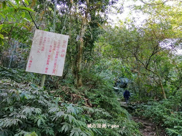 IMG_20200222_094319.jpg IMG_20200222_094319.jpg