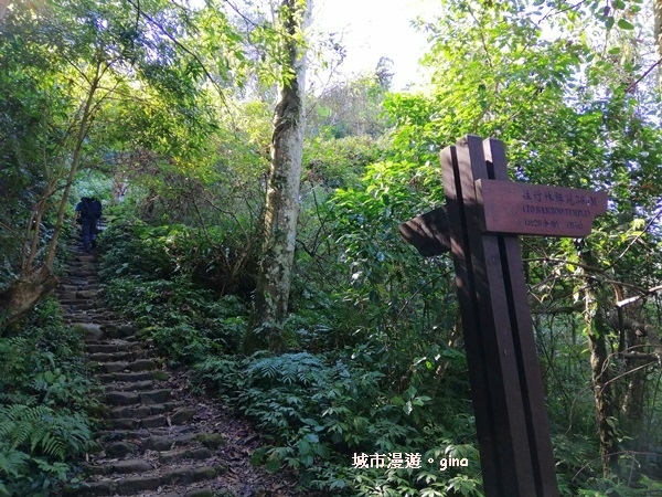 IMG_20200222_100423.jpg IMG_20200222_100423.jpg