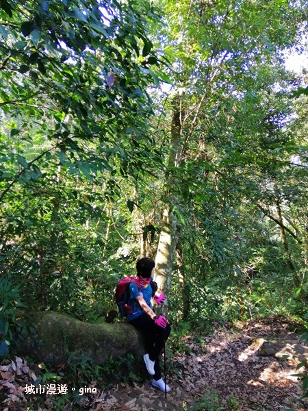 IMG_20200222_101511.jpg IMG_20200222_101511.jpg