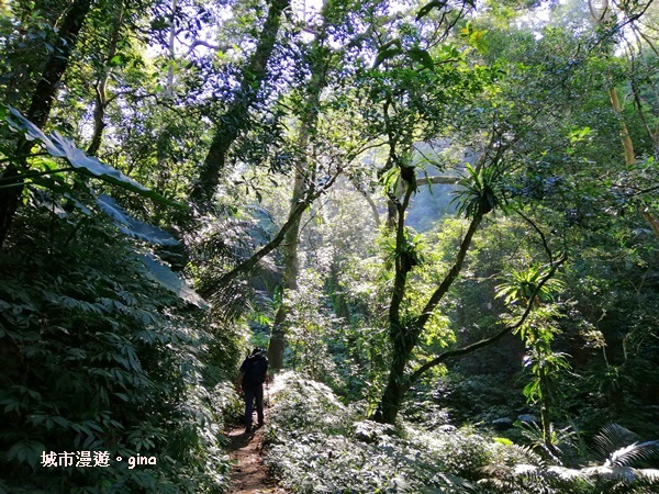 IMG_20200222_100846.jpg IMG_20200222_100846.jpg