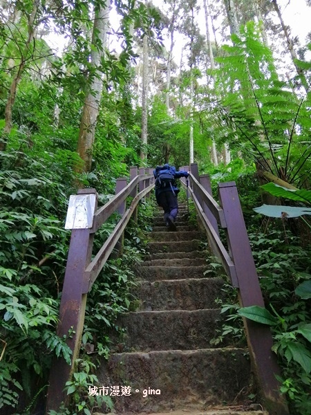 IMG_20200222_094706.jpg IMG_20200222_094706.jpg