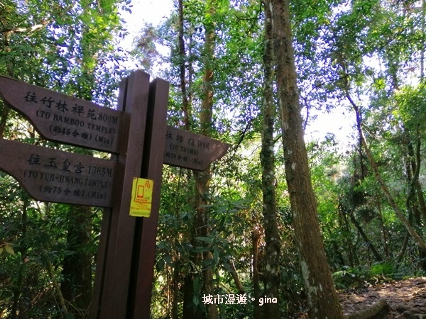 IMG_20200222_102024.jpg IMG_20200222_102024.jpg