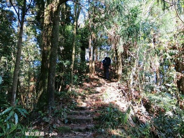 IMG_20200222_103657.jpg IMG_20200222_103657.jpg