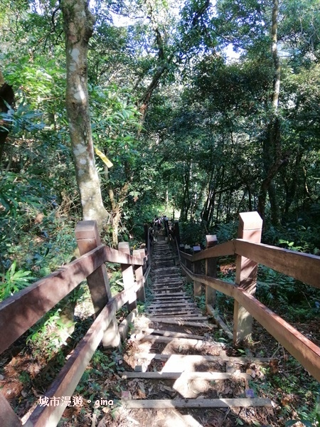 IMG_20200222_104459.jpg IMG_20200222_104459.jpg