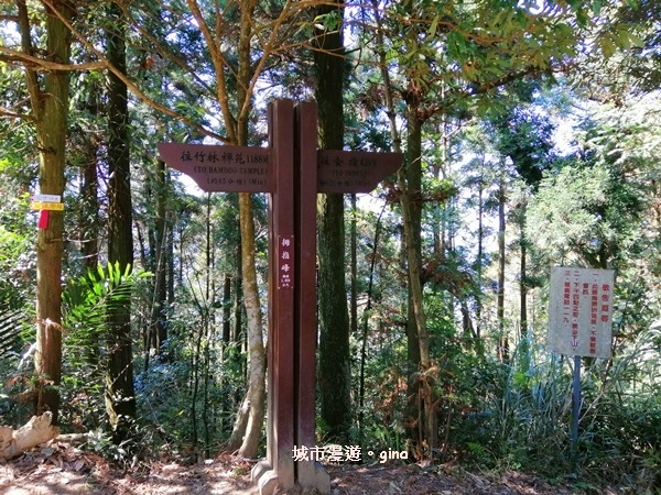 IMG_20200222_103757.jpg IMG_20200222_103757.jpg