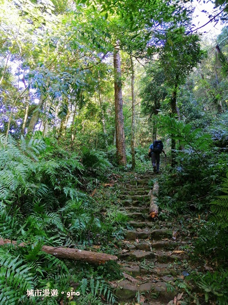 IMG_20200222_105218.jpg IMG_20200222_105218.jpg