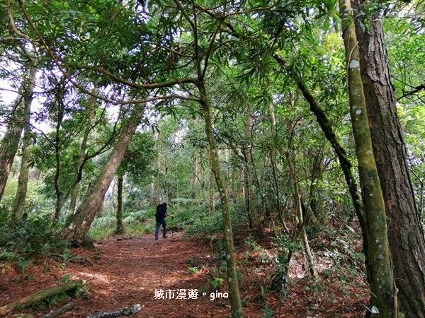 IMG_20200222_110019.jpg IMG_20200222_110019.jpg