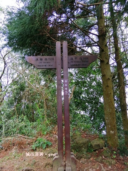 IMG_20200222_110911.jpg IMG_20200222_110911.jpg