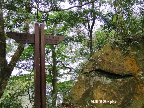 IMG_20200222_111823.jpg IMG_20200222_111823.jpg