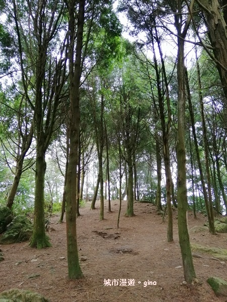 IMG_20200222_112308.jpg IMG_20200222_112308.jpg