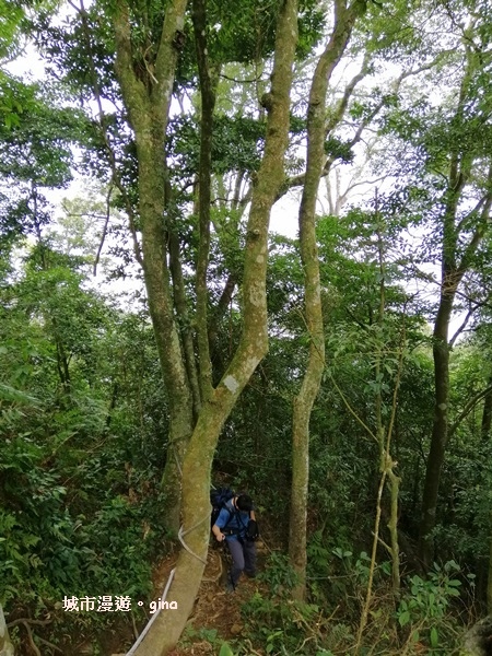 IMG_20200222_111122.jpg IMG_20200222_111122.jpg