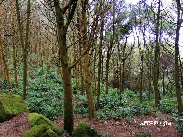 IMG_20200222_112321.jpg IMG_20200222_112321.jpg