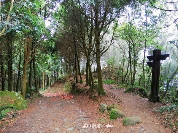 IMG_20200222_112922.jpg IMG_20200222_112922.jpg