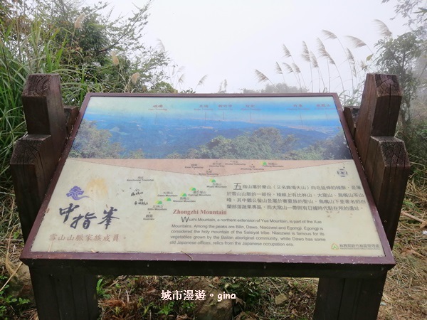 IMG_20200222_114241.jpg IMG_20200222_114241.jpg