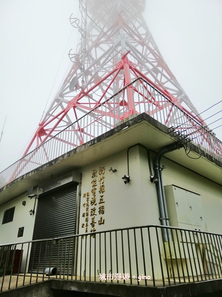 【新竹北埔】蓊鬱山林。No30小百岳~五指山~五連峰 106