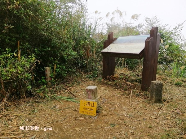 IMG_20200222_113242.jpg IMG_20200222_113242.jpg