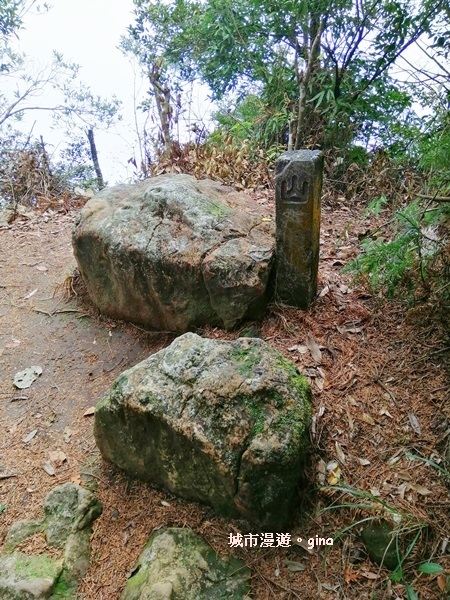 【新竹北埔】蓊鬱山林。No30小百岳~五指山~五連峰 106