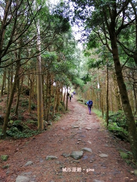 IMG_20200222_112925.jpg IMG_20200222_112925.jpg