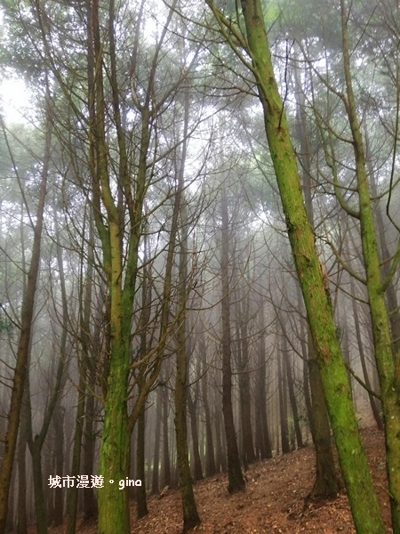 IMG_20200222_121116.jpg IMG_20200222_121116.jpg