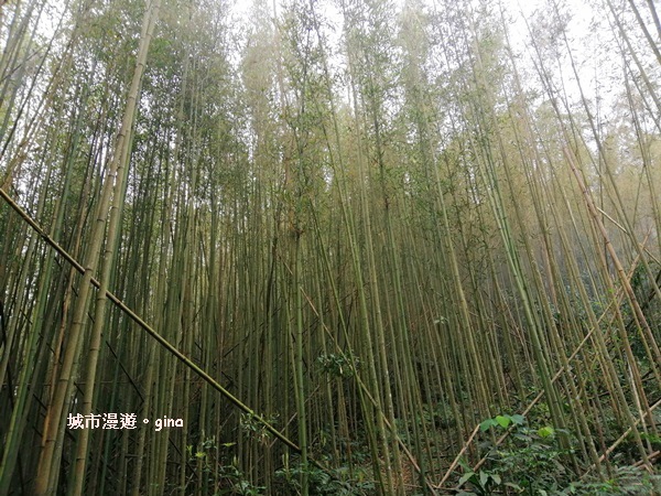 IMG_20200222_121524.jpg IMG_20200222_121524.jpg