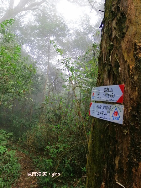 IMG_20200222_121803.jpg IMG_20200222_121803.jpg