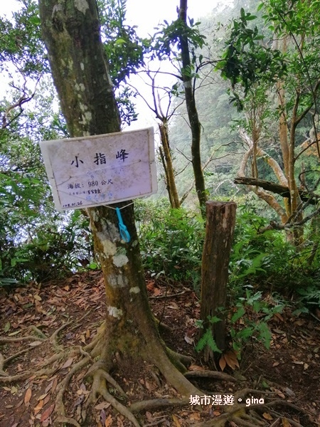 IMG_20200222_125414.jpg IMG_20200222_125414.jpg