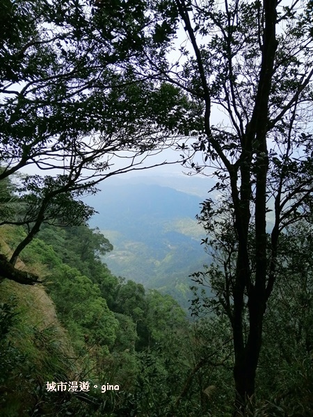 IMG_20200222_124248.jpg IMG_20200222_124248.jpg