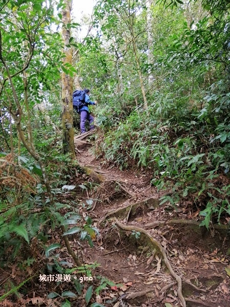 IMG_20200222_125227.jpg IMG_20200222_125227.jpg