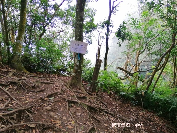 IMG_20200222_131133.jpg IMG_20200222_131133.jpg