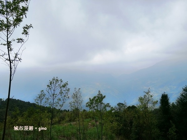 【新竹北埔】蓊鬱山林。No30小百岳~五指山~五連峰 106